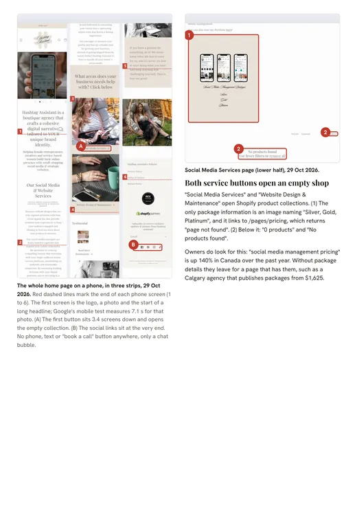 Hashtag Assistant report, the home page on a phone