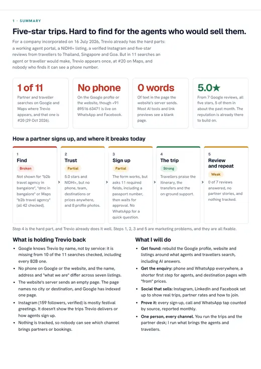 Trevio Global report, summary