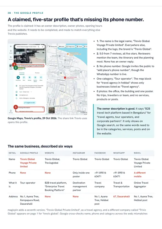 Trevio Global report, Google profile