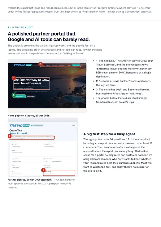 Trevio Global report, website review
